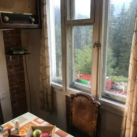къща столетница Проживание в семье *