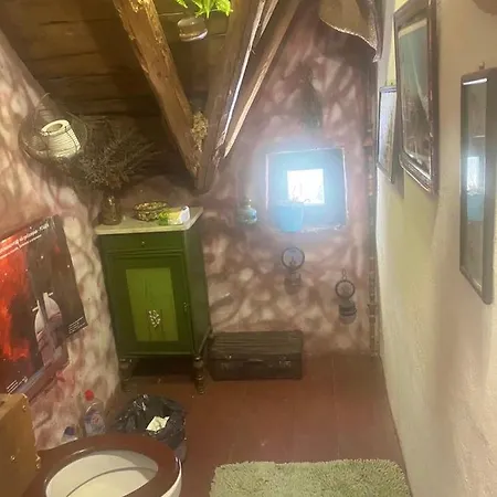 къща столетница Progled